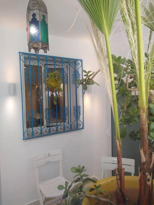 Cosy Appartement In "Sidi Bou Said" Buitenkant foto