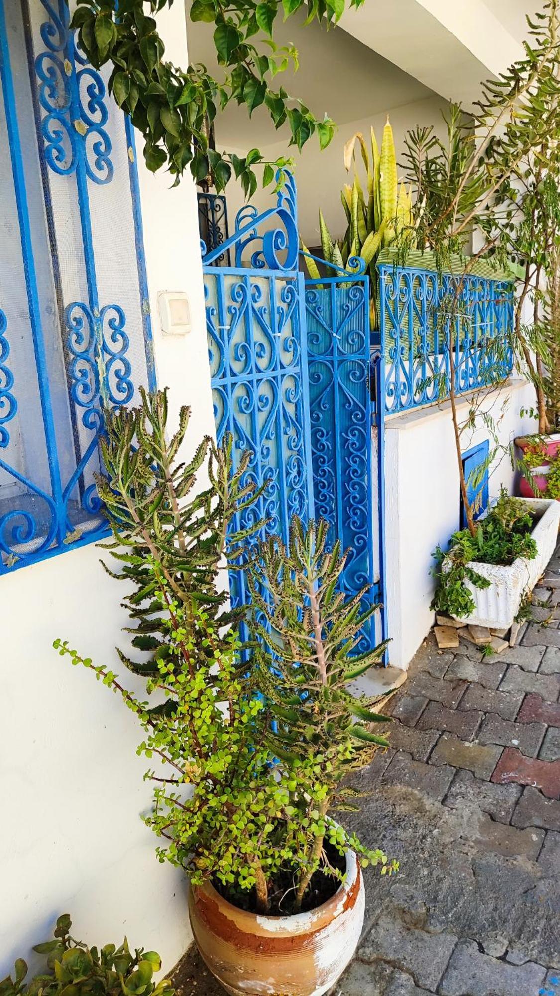 Cosy Appartement In "Sidi Bou Said" Buitenkant foto
